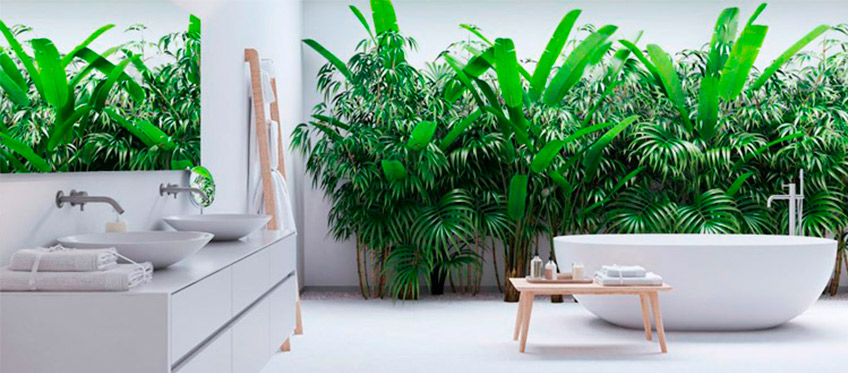 /blog/Inspiracion