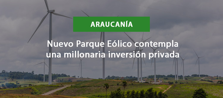 /blog/Identidad-Local