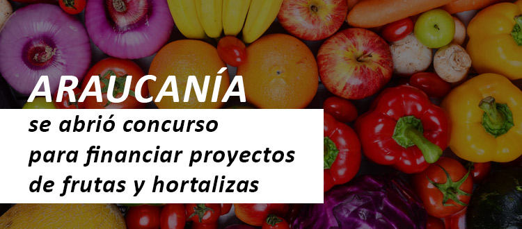 /blog/Identidad-Local